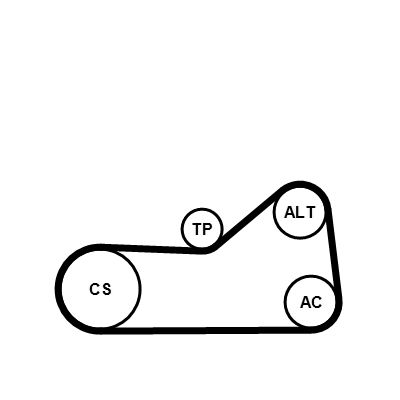 6PK976K3 CONTINENTAL CTAM Kit Cinghie Poly-V 