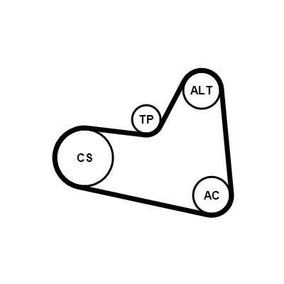 6PK976K1 CONTINENTAL CTAM Kit Cinghie Poly-V 