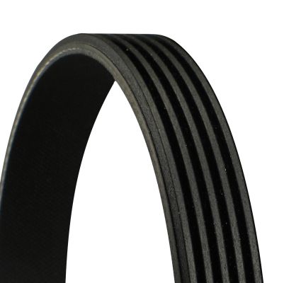 5PK1190 CONTINENTAL CTAM Cinghia Poly-V 