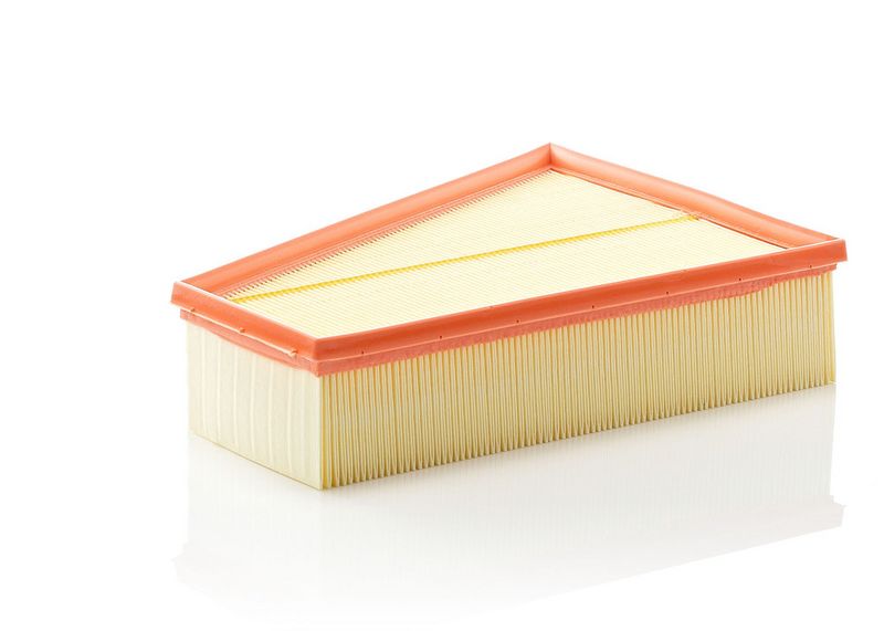 C30161 MANN-FILTER Filtro aria 