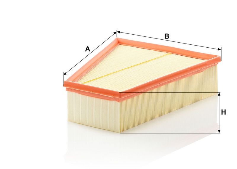 C30161 MANN-FILTER Filtro aria 