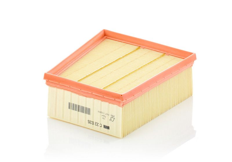 C22026 MANN-FILTER Filtro aria 