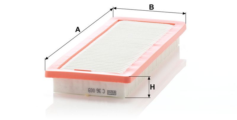 C36003 MANN-FILTER Filtro aria 