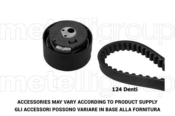 TP020 GRAF Kit cinghie dentate 