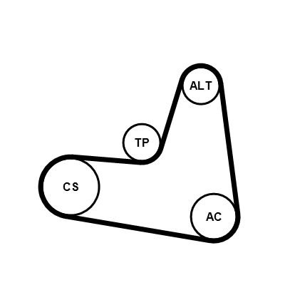 6PK1120K2 CONTINENTAL CTAM Kit Cinghie Poly-V 
