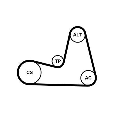 7PK1035K1 CONTINENTAL CTAM Kit Cinghie Poly-V 