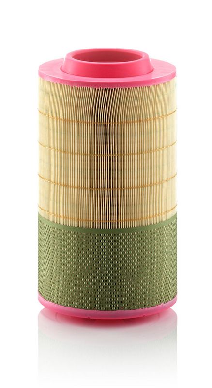 C25950/1 MANN-FILTER Filtro aria 