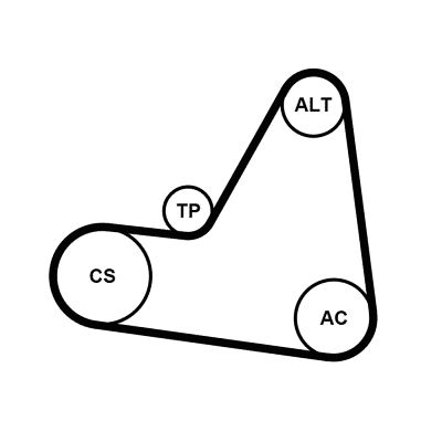 6PK1680K1 CONTINENTAL CTAM Kit Cinghie Poly-V 