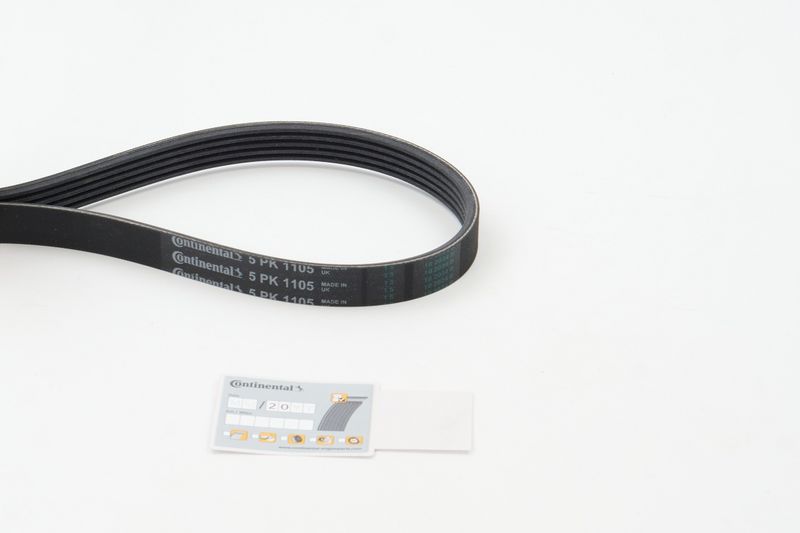 5PK1105 CONTINENTAL CTAM Cinghia Poly-V 