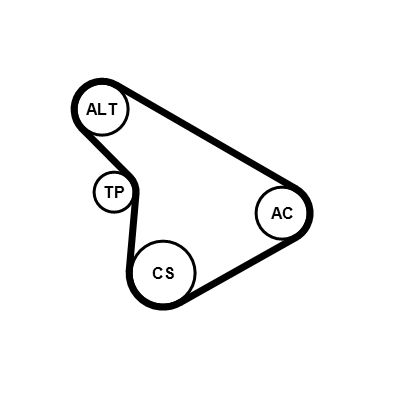 5PK1212K1 CONTINENTAL CTAM Kit Cinghie Poly-V 