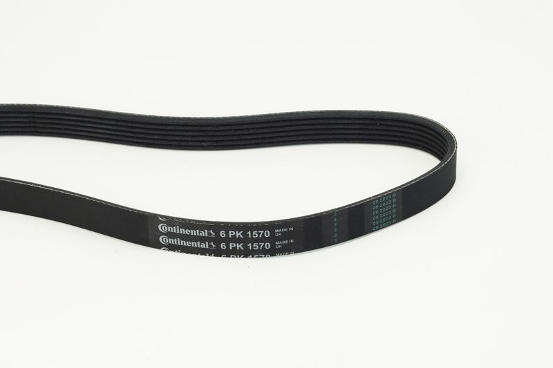 6PK1570 CONTINENTAL CTAM Cinghia Poly-V 