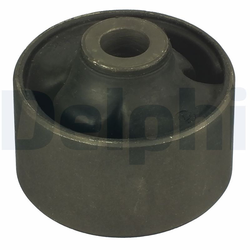TD957W DELPHI Supporto, Braccio oscillante 