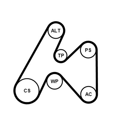 6PK1660K3 CONTINENTAL CTAM Kit Cinghie Poly-V 