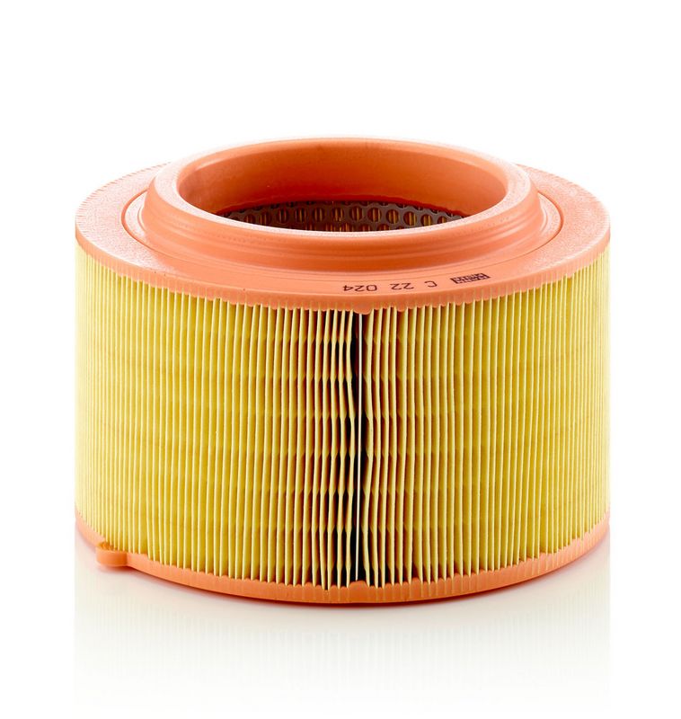C22024 MANN-FILTER Filtro aria 