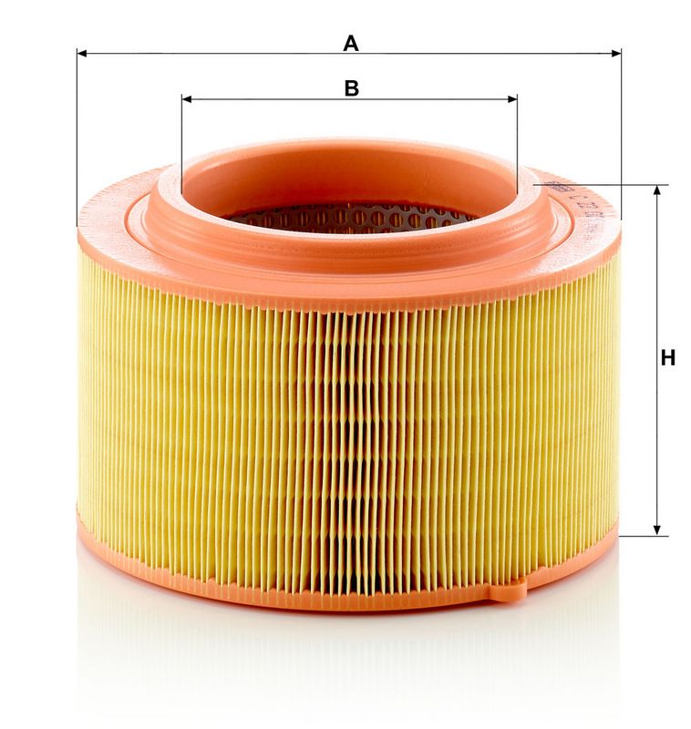 C22024 MANN-FILTER Filtro aria 