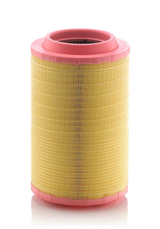 C25860/8 MANN-FILTER Filtro aria 