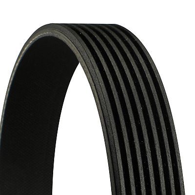 7PK1338 CONTINENTAL CTAM Cinghia Poly-V 