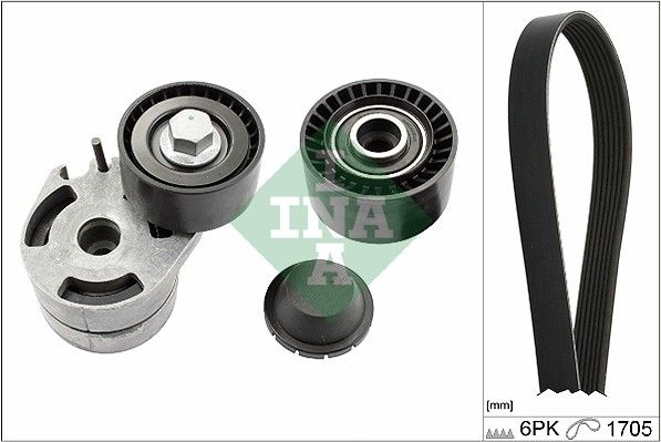529001210 Schaeffler INA Kit Cinghie Poly-V 