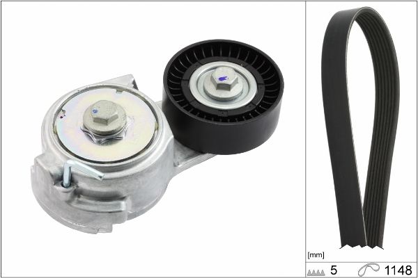 529001310 Schaeffler INA Kit Cinghie Poly-V 