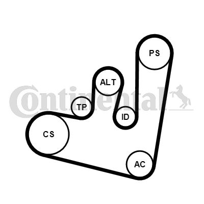 6PK1660K2 CONTINENTAL CTAM Kit Cinghie Poly-V 