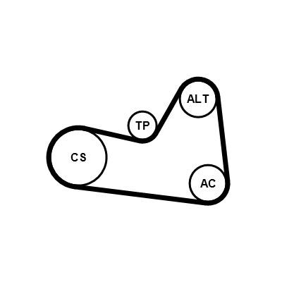 6PK1026K1 CONTINENTAL CTAM Kit Cinghie Poly-V 