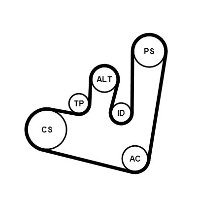 6PK1660K1 CONTINENTAL CTAM Kit Cinghie Poly-V 