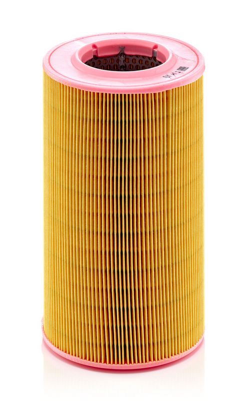 C14176 MANN-FILTER Filtro aria 