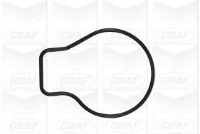 PA897 GRAF Pompa dell’acqua, raffreddamento motore 