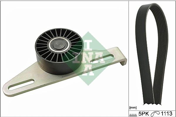 529014510 Schaeffler INA Kit Cinghie Poly-V 