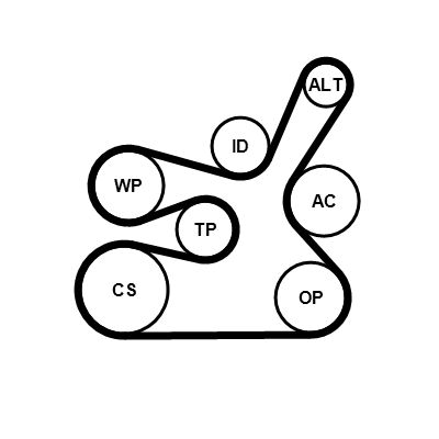 6DPK1817K2 CONTINENTAL CTAM Kit Cinghie Poly-V 