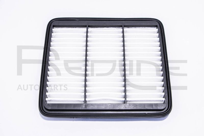 36DW018 RED-LINE Filtro aria 