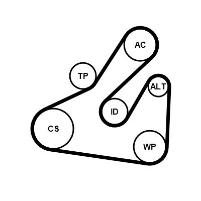 5PK1745WP1 CONTINENTAL CTAM Pompa acqua + Kit cinghia Poly V 
