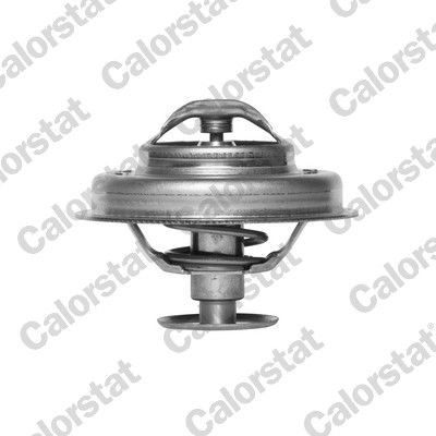 TH4945.89J CALORSTAT by Vernet Termostato, refrigerante 