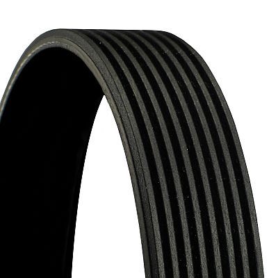8PK2063 CONTINENTAL CTAM Cinghia Poly-V 