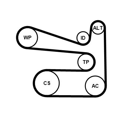 6PK1693K1 CONTINENTAL CTAM Kit Cinghie Poly-V 