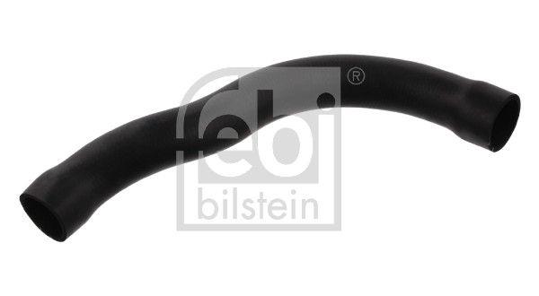 33875 FEBI BILSTEIN Flessibile radiatore 