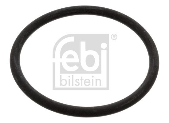 17966 FEBI BILSTEIN Guarnizione, Termostato 
