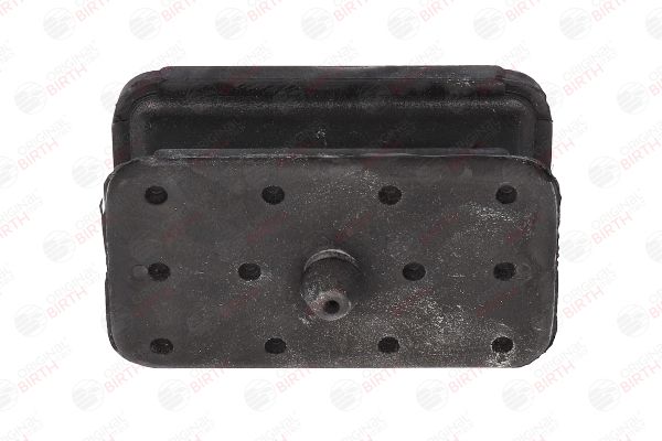 53163 BIRTH Bronzina cuscinetto, Molla a balestra 