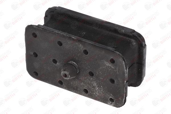 53163 BIRTH Bronzina cuscinetto, Molla a balestra 