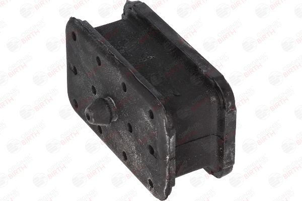53163 BIRTH Bronzina cuscinetto, Molla a balestra 