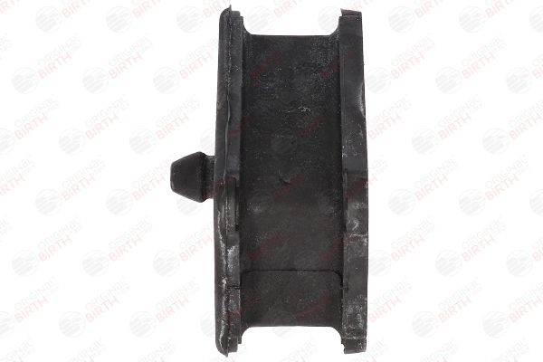 53163 BIRTH Bronzina cuscinetto, Molla a balestra 