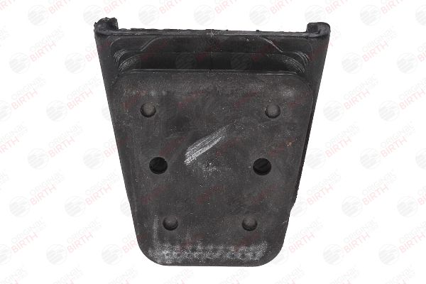 53162 BIRTH Bronzina cuscinetto, Molla a balestra 