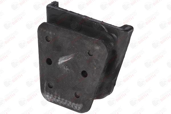 53162 BIRTH Bronzina cuscinetto, Molla a balestra 