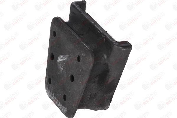 53162 BIRTH Bronzina cuscinetto, Molla a balestra 