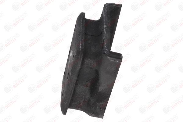 53162 BIRTH Bronzina cuscinetto, Molla a balestra 