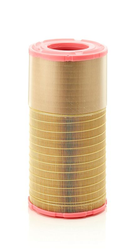 C21630/3 MANN-FILTER Filtro aria 