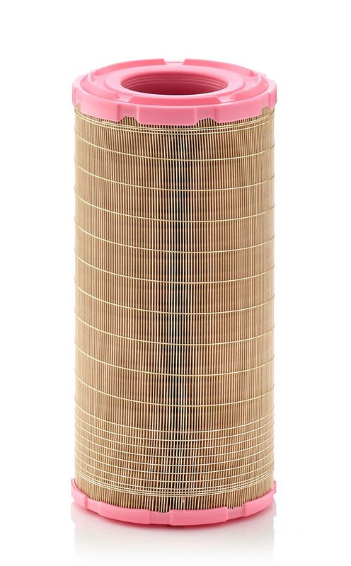 C21630/4 MANN-FILTER Filtro aria 