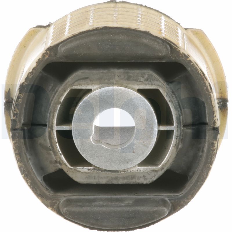 TD1761W DELPHI Supporto, Corpo assiale 