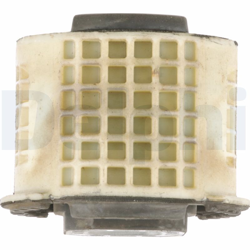 TD1761W DELPHI Supporto, Corpo assiale 