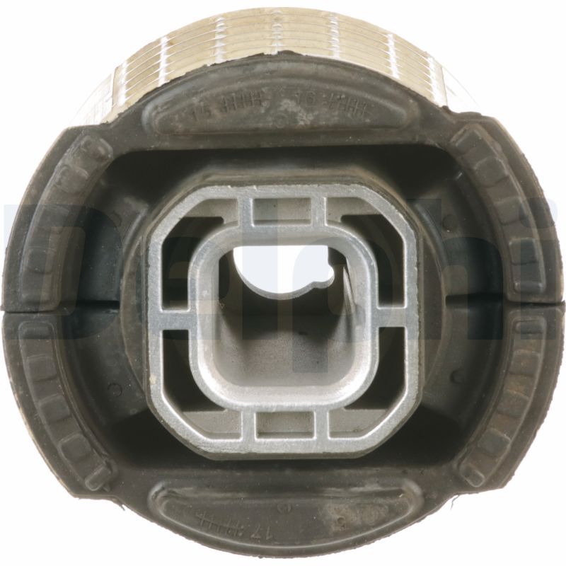 TD1761W DELPHI Supporto, Corpo assiale 